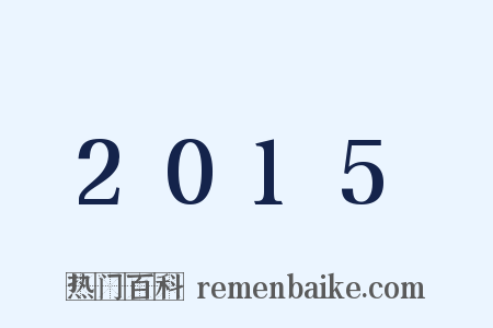 2015是什么意思的图片